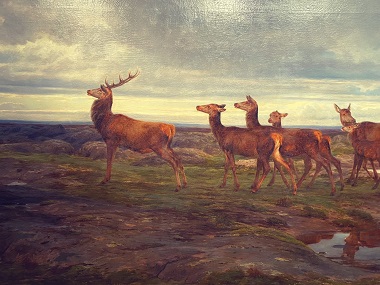 CERF ET CHEVREUILS ROSA BONHEUR.jpg